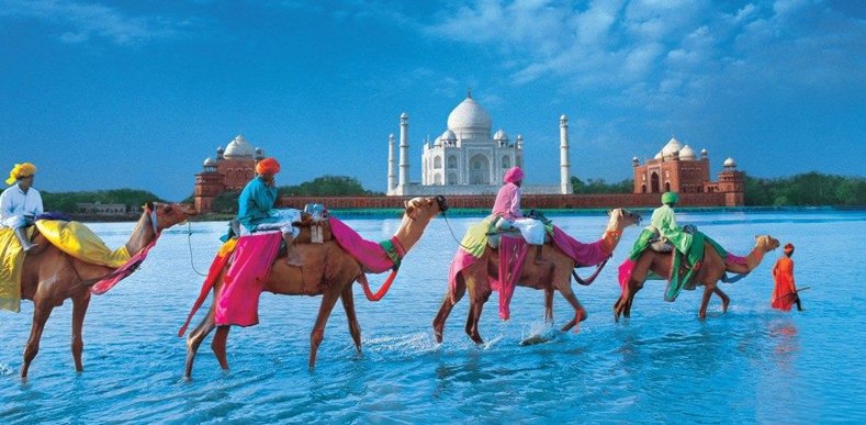 Simply Royal Tour Simply Royal Tour